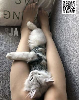 《安达与岛村》_高清国产国语三级